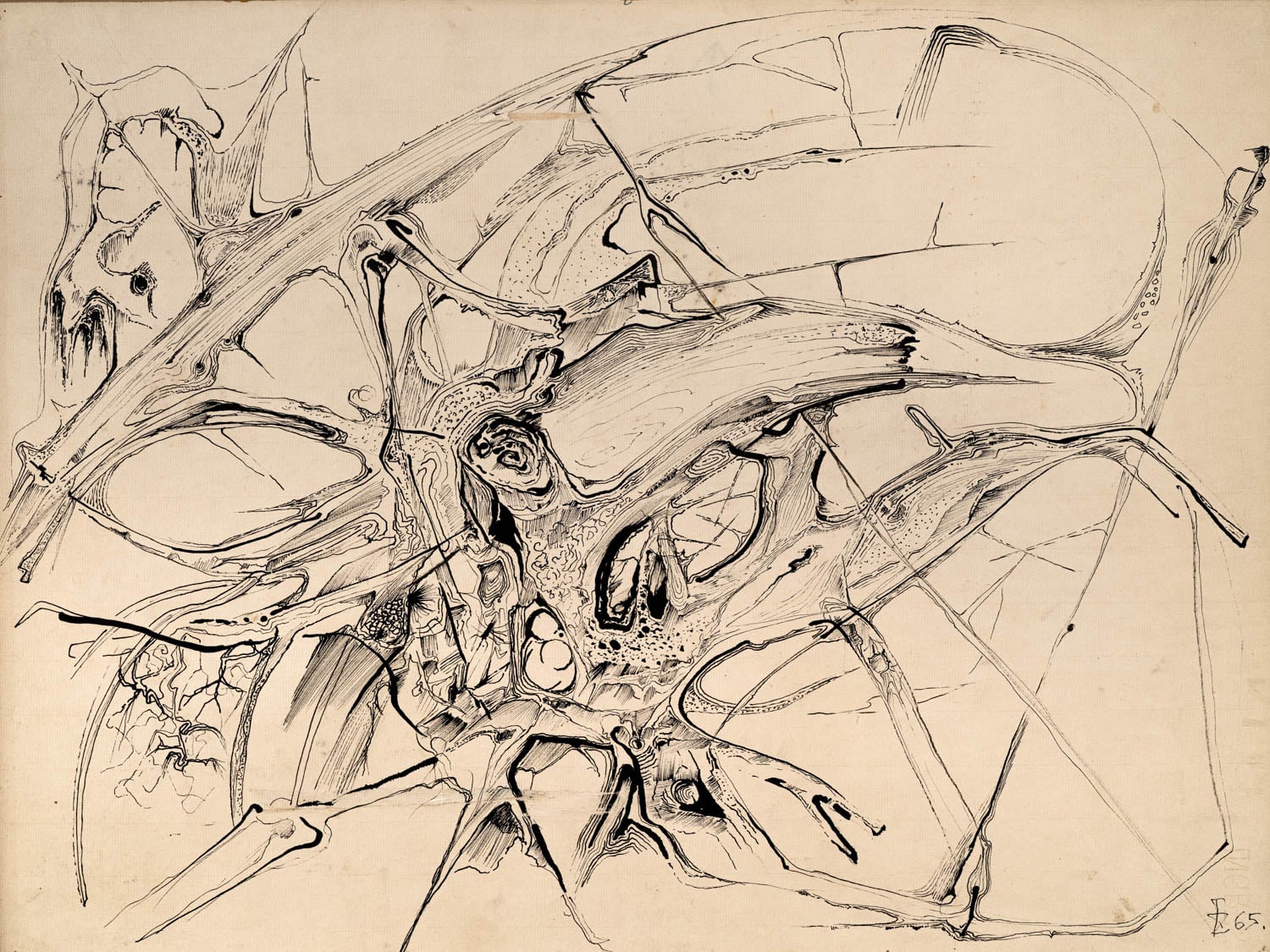 Antoni Zydroń — Struktury leśne II