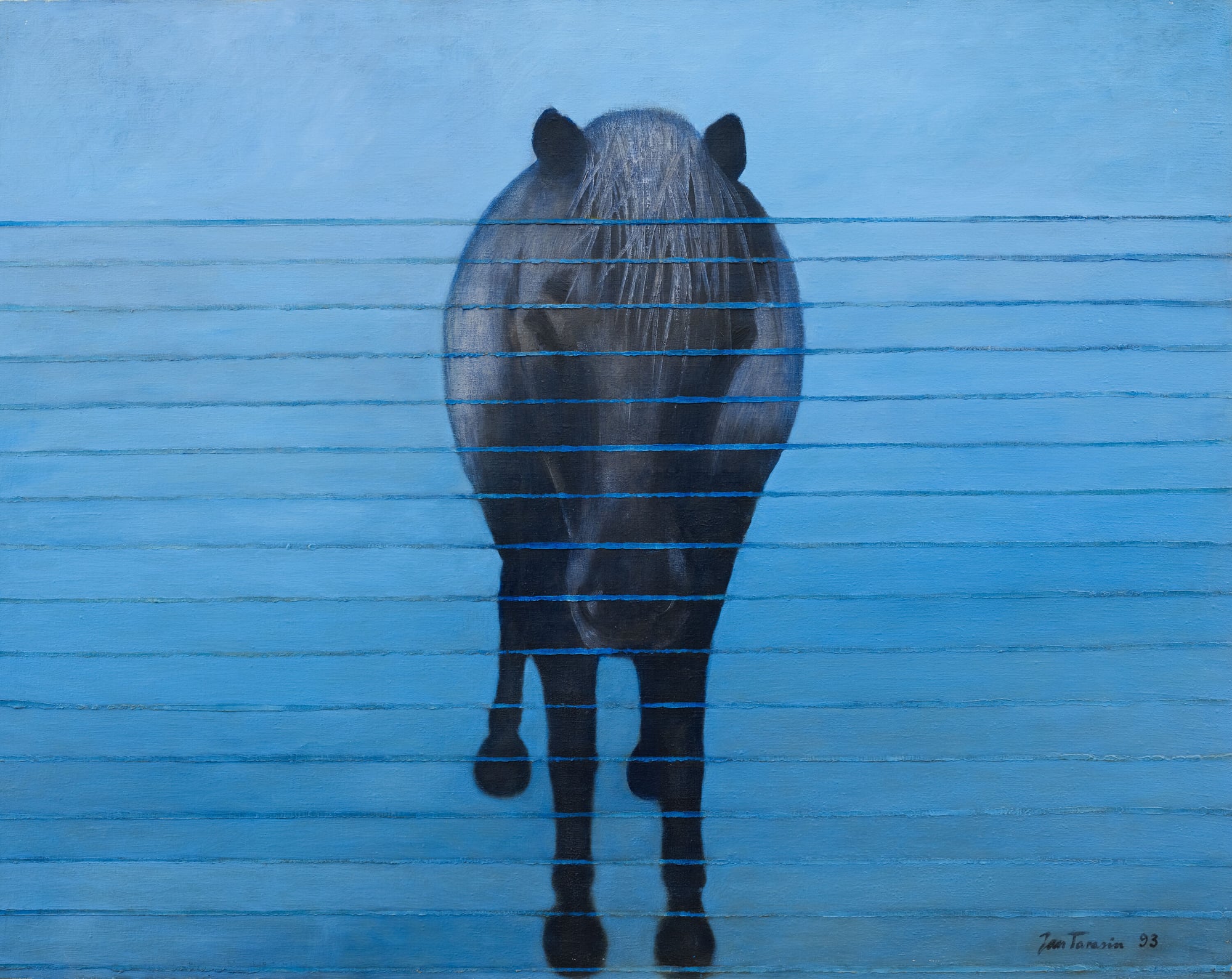 Jan Tarasin — Samotność Pony